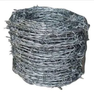 WhatsApp Image 2023 12 28 At 16.48.59 300x295