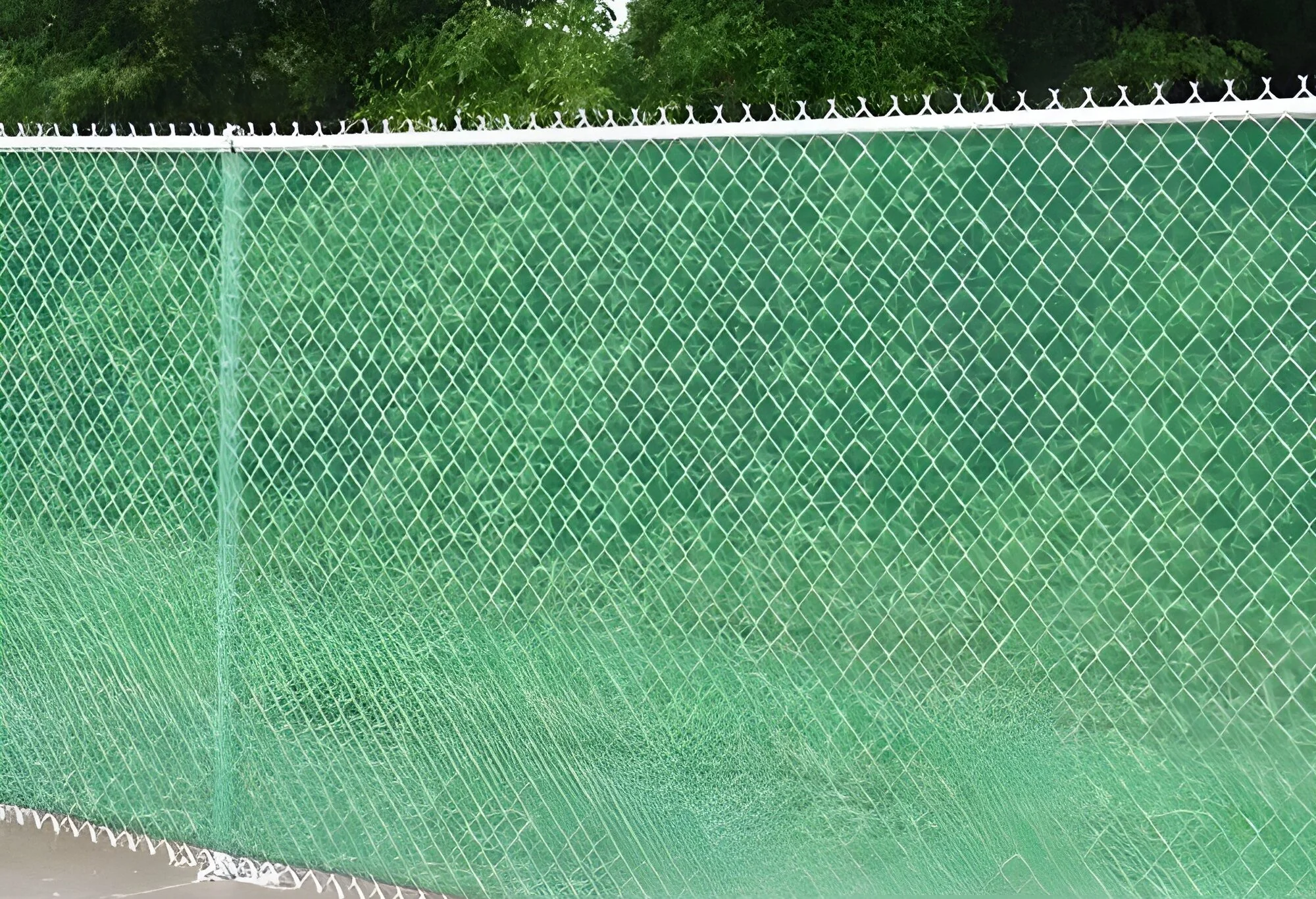 Hdpe Tree Guard Fencing Net For Garden Fencing 287 1 E1728884722479