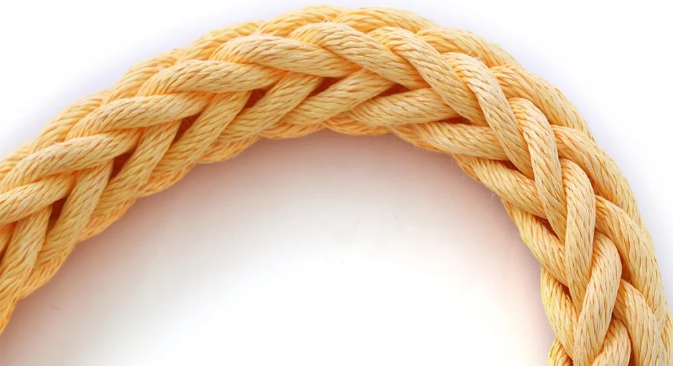 Supplier Ropes Maritime Towing Tug Mooring Soluzionitessili Zenadan 8 12strd 1024x683 1 E1726462162907